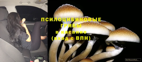 стафф Ладушкин