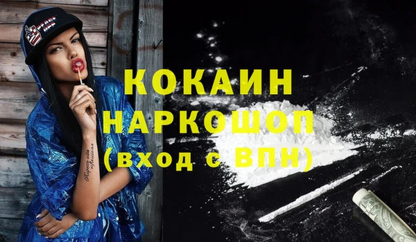 стафф Ладушкин