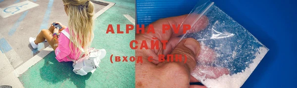 стафф Ладушкин