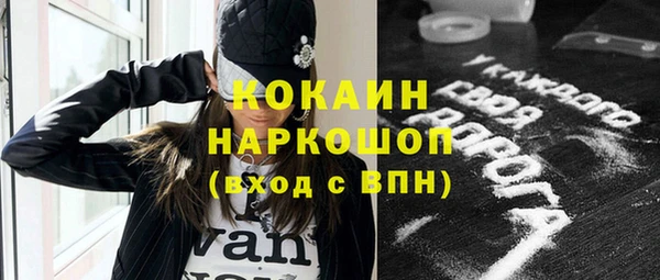 стафф Ладушкин