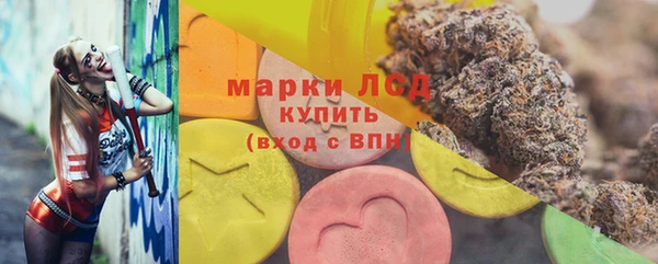 стафф Ладушкин