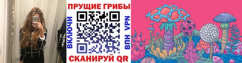Псилоцибиновые грибы Cubensis  Купить закладки  Опочка 